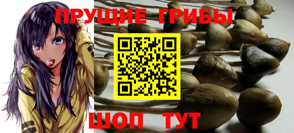 Псилоцибиновые грибы ЛСД Ливны